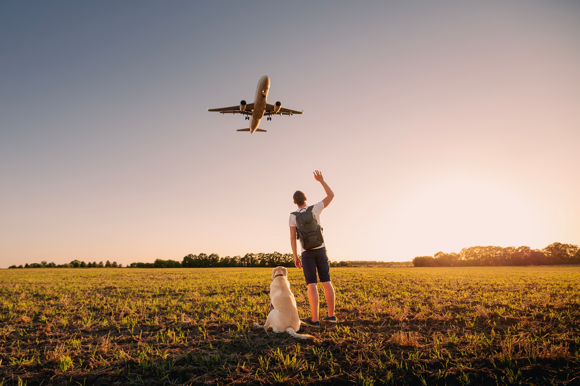 Man with dog looking up to airplane landing at airport